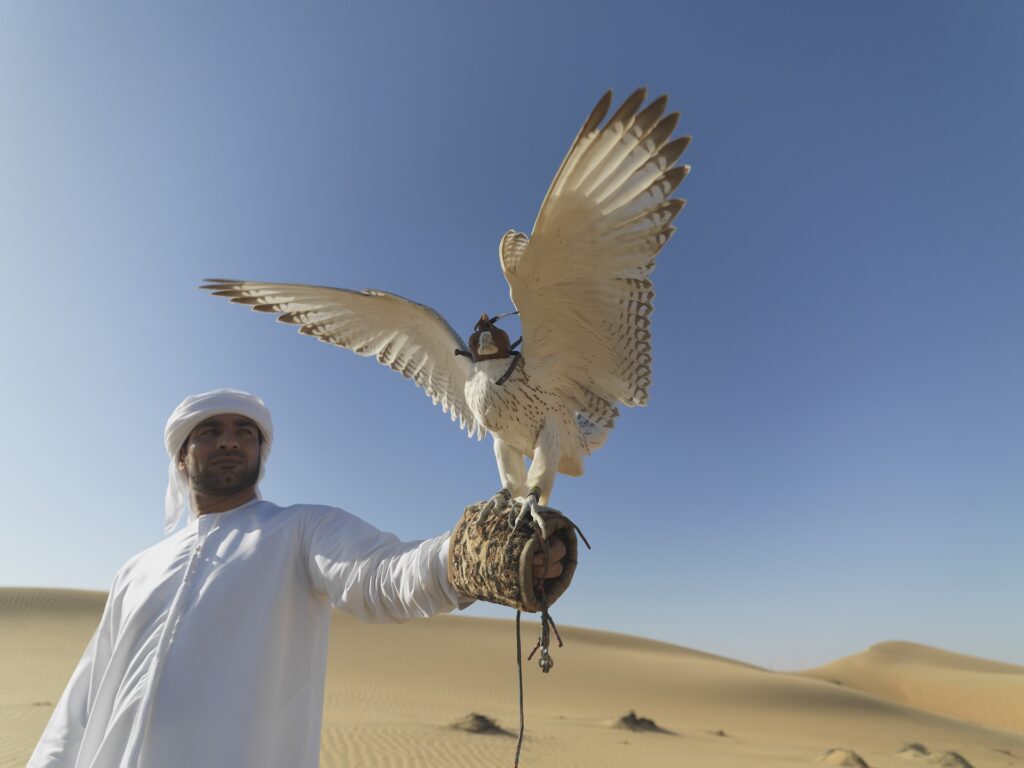 Qatar, Falconry