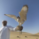 Qatar, Falconry