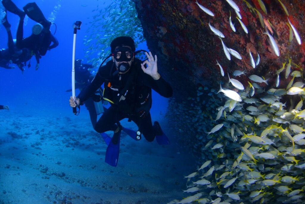 Experience diving in Qatar