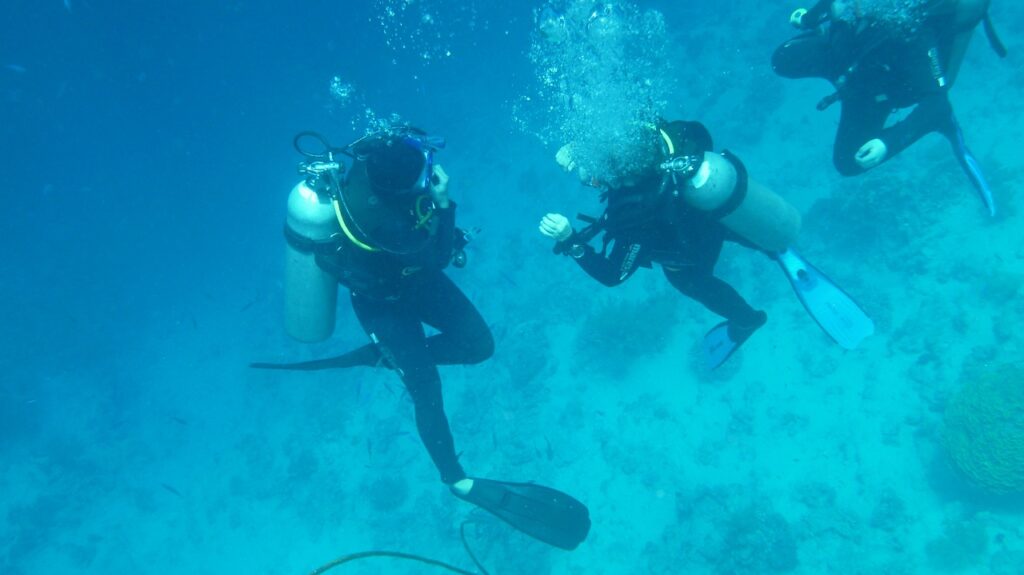 Dive into Qatar