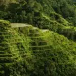 Luzon