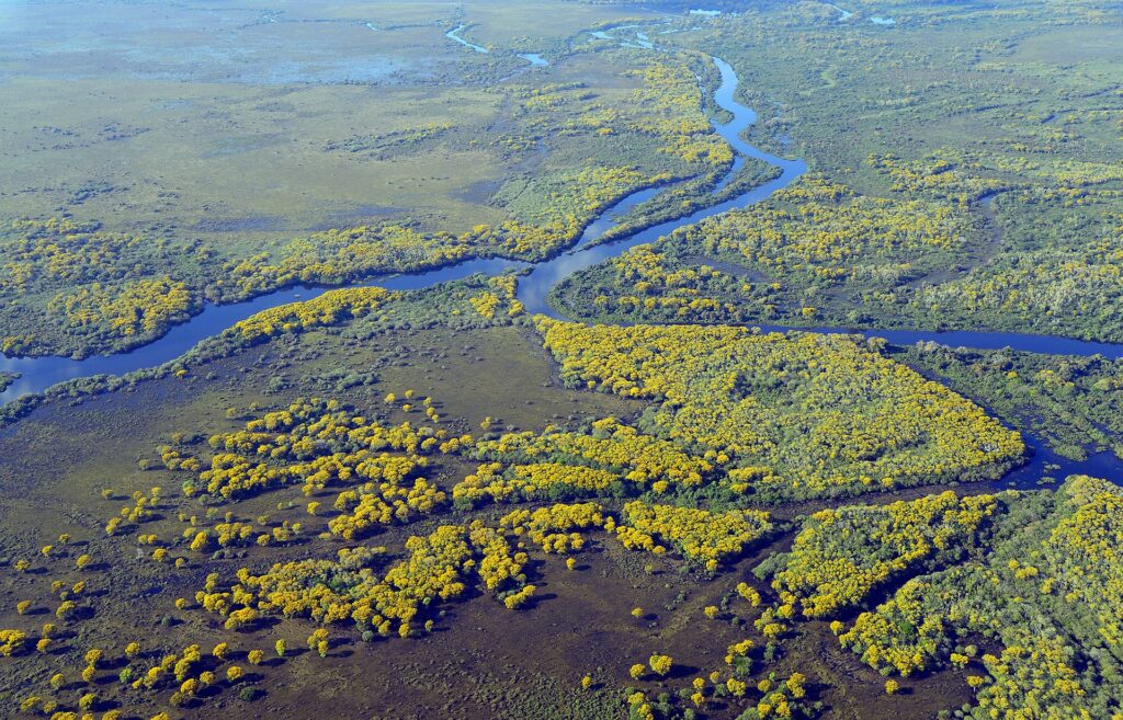 Brazil, Pantanal