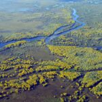 Brazil, Pantanal