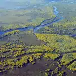 Brazil, Pantanal