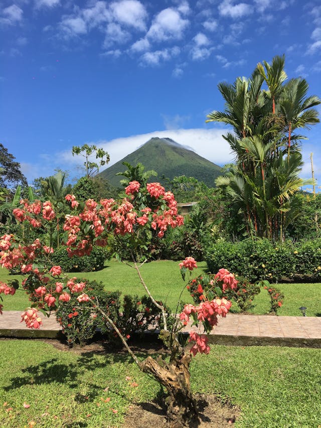 View of Arenal Volcano