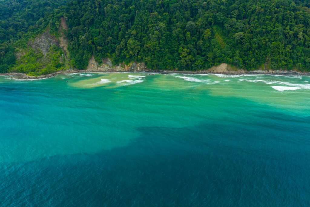 Beaches and mangrove of Corcovado National Park