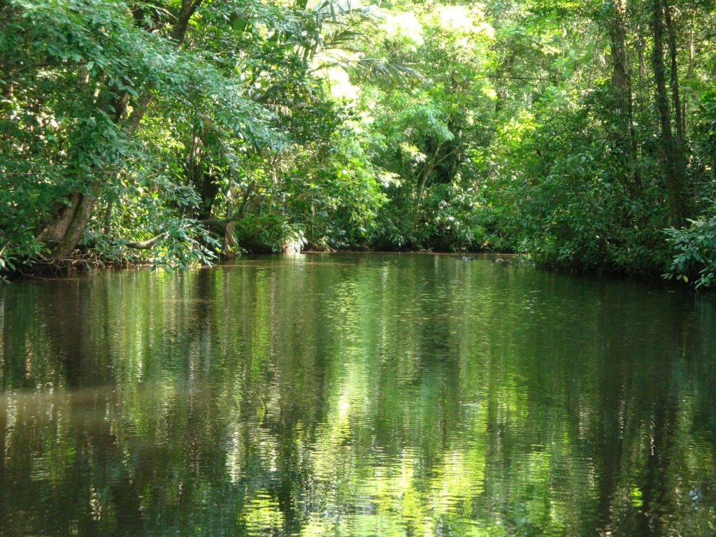 Tortuguero National Park