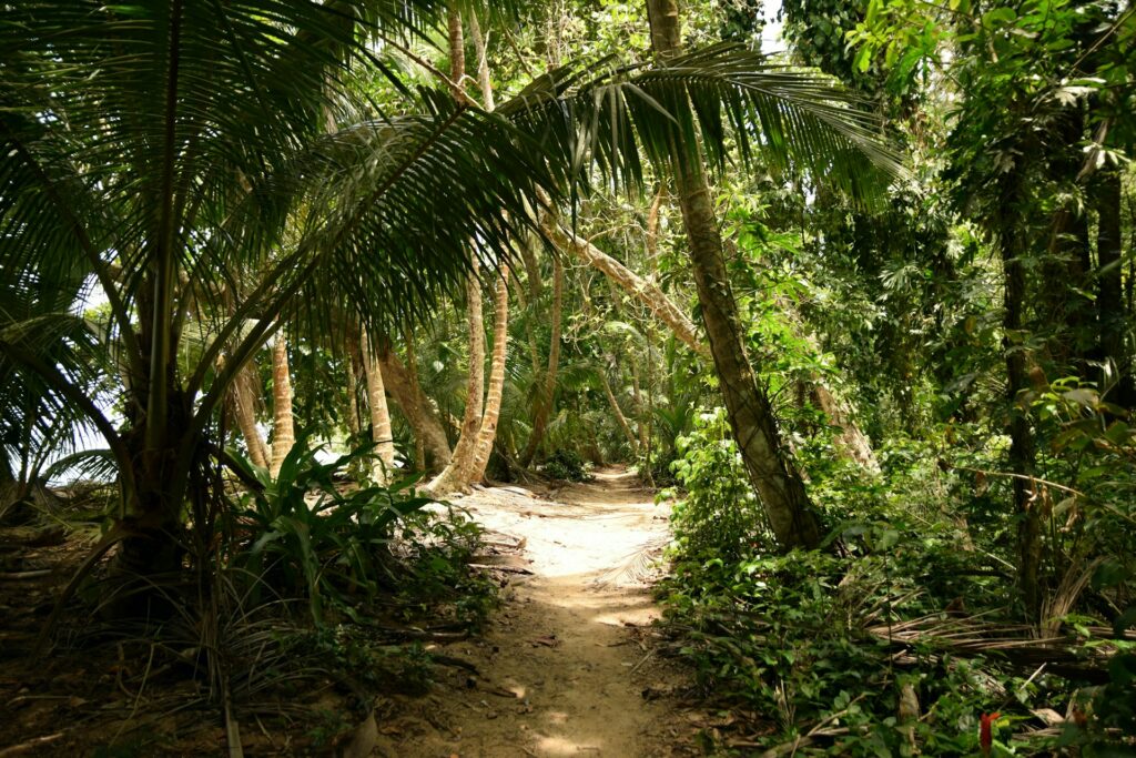 Costa Rica, Tortuguero