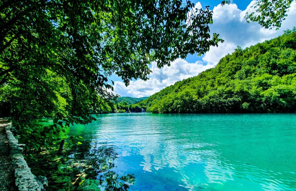 Plitvice Lakes National Park, Wildlife and Flora