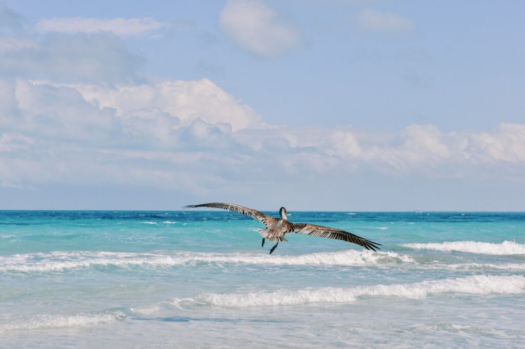 Cuba, Varadero