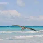 Cuba, Varadero