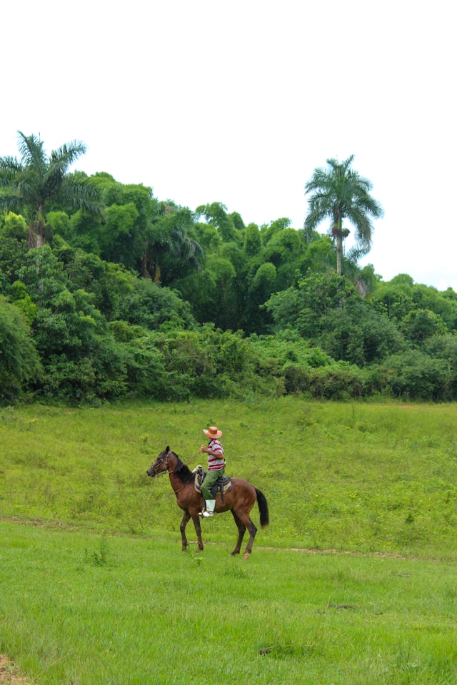 Horseback Riding