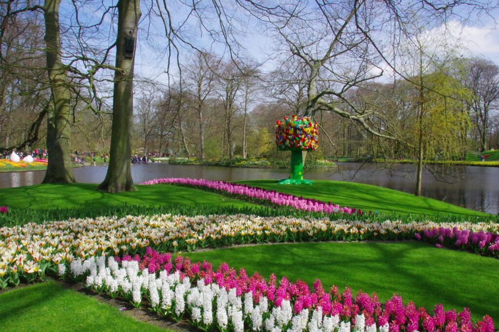 Keukenhof, Magic