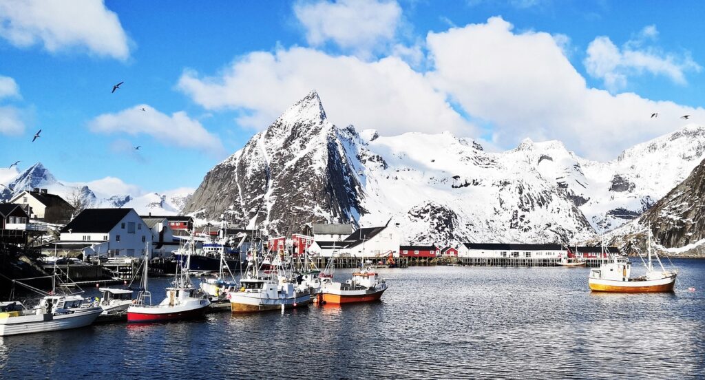 View of the port