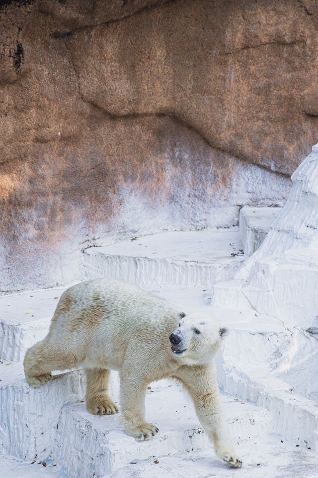 Arctic Landscapes