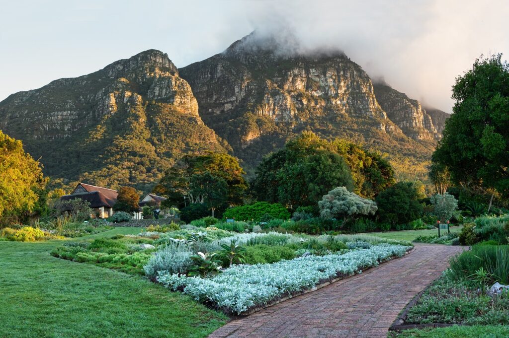 Kirstenbosch National Botanical Garden