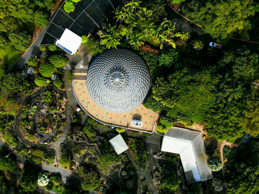 Brisbane Botanic Gardens