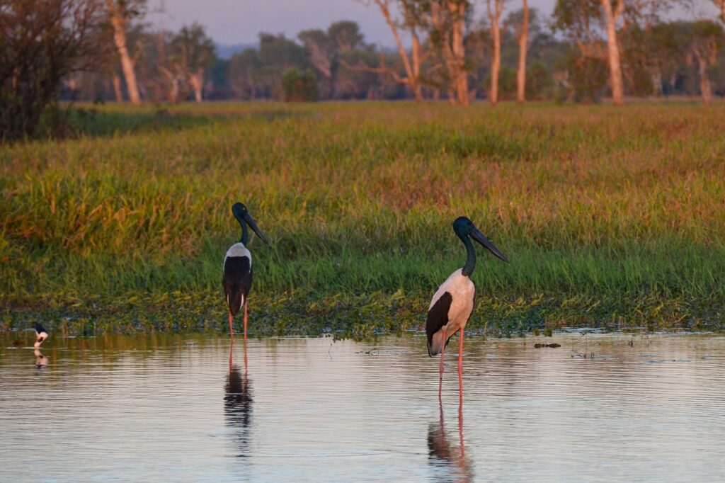 Kakadu National Park