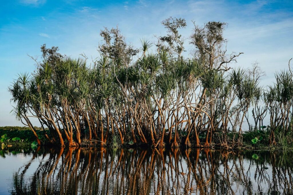 Kakadu National Park Yellow River