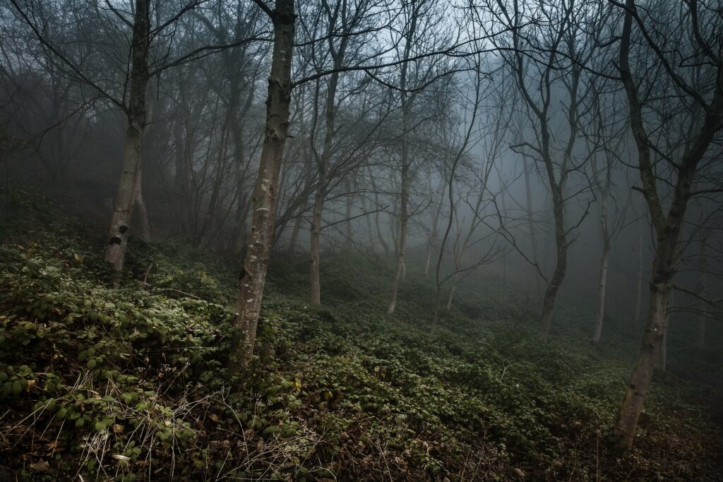 Germany, Black Forest