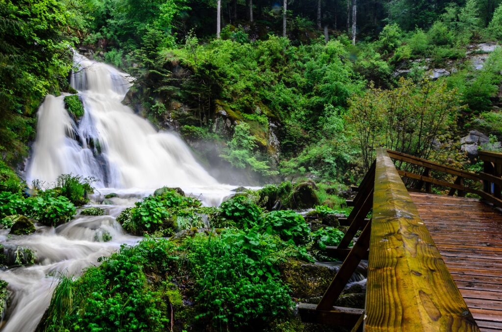 The Black forest, Waterfalls in Triberg