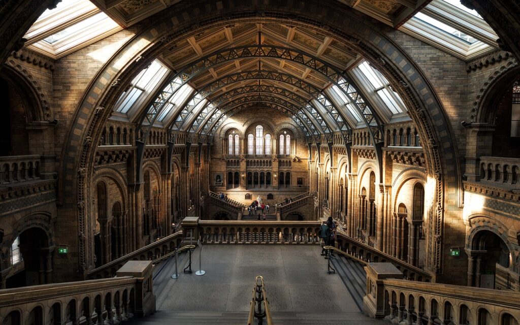 Inside the Natural History Museum