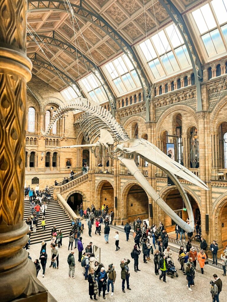 Hintze Hall, London, UK