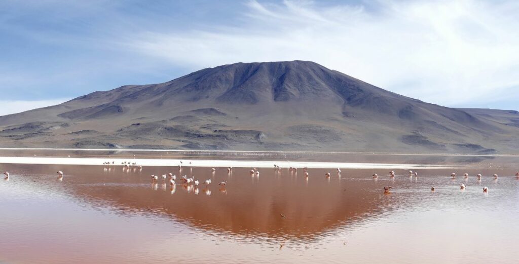 Laguna Colorada