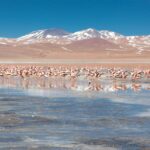 Laguna Colorada