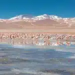 Laguna Colorada