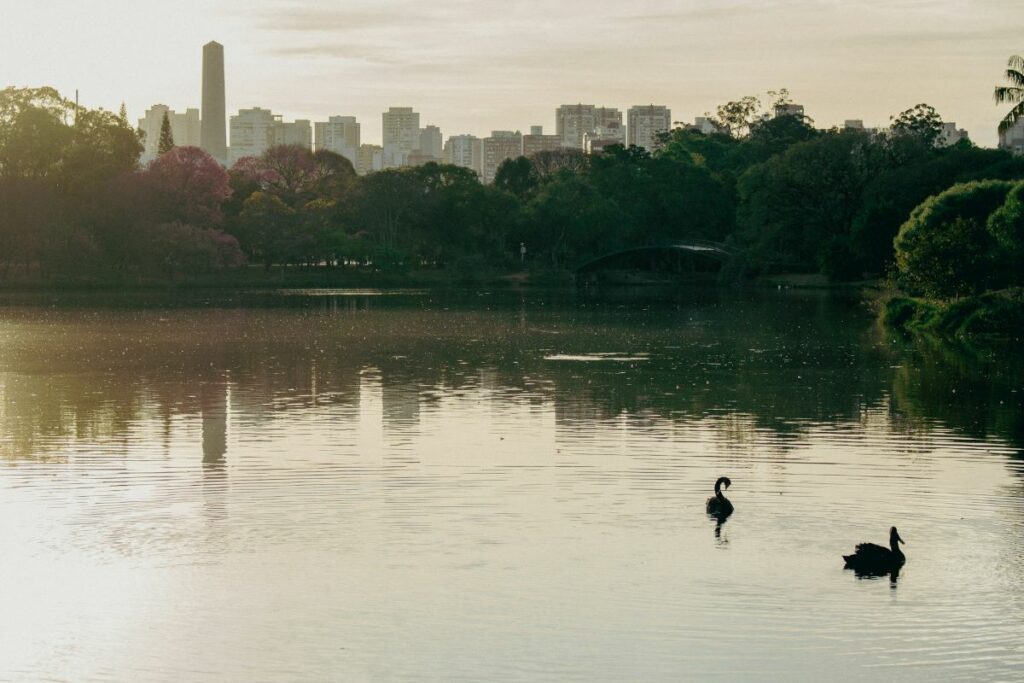 Ibirapuera Park