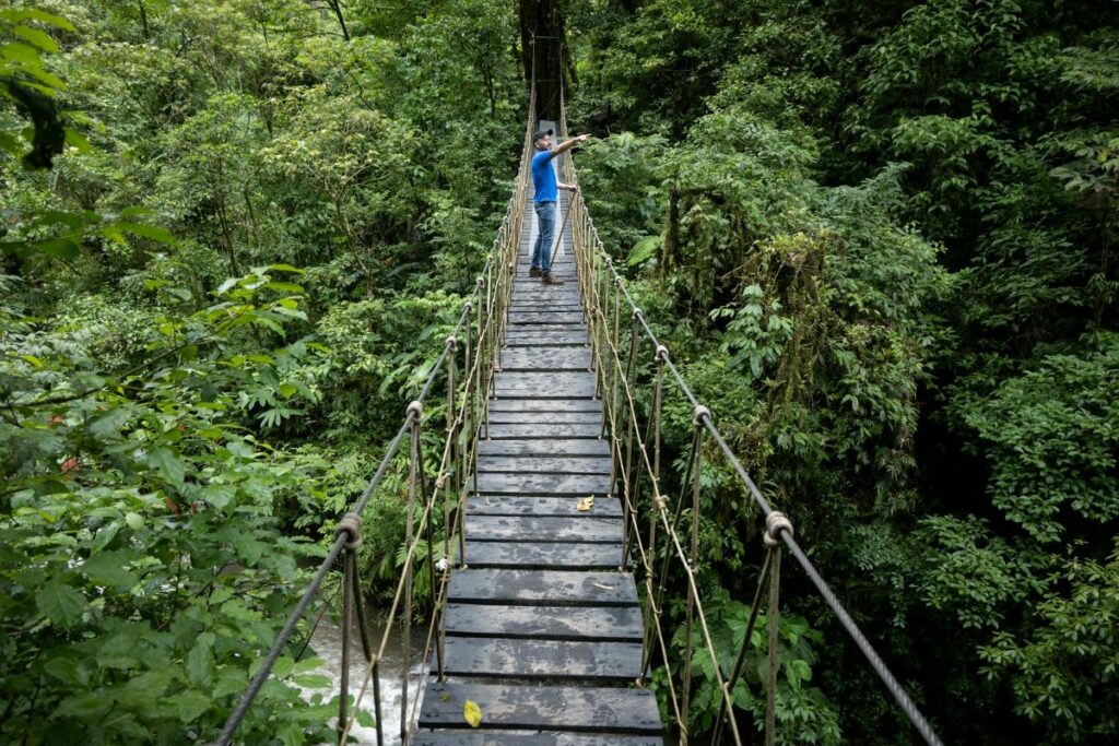 Canopy of Monteverde