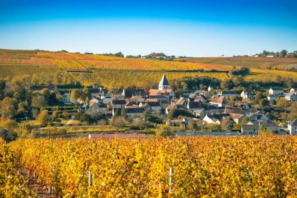 Sancerre