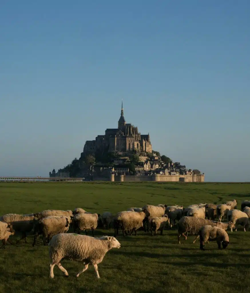 Mont Saint-Michel Bay