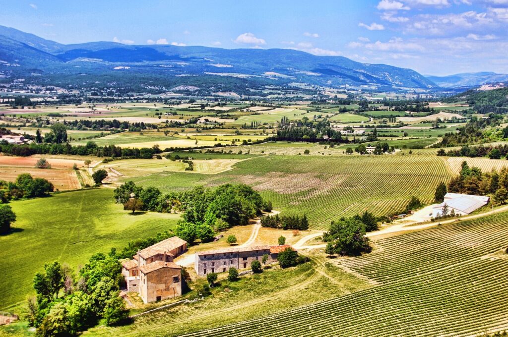 Wine in Provence