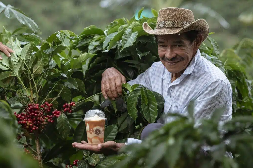 Colombia, Coffee Triangle Axis