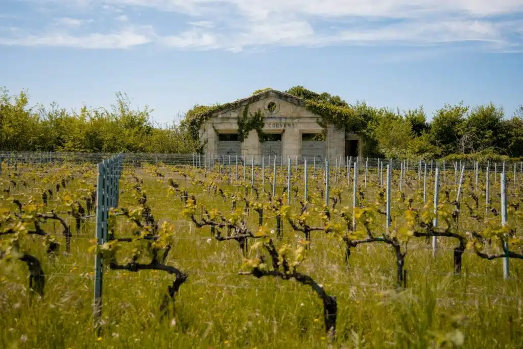 Saint emilion