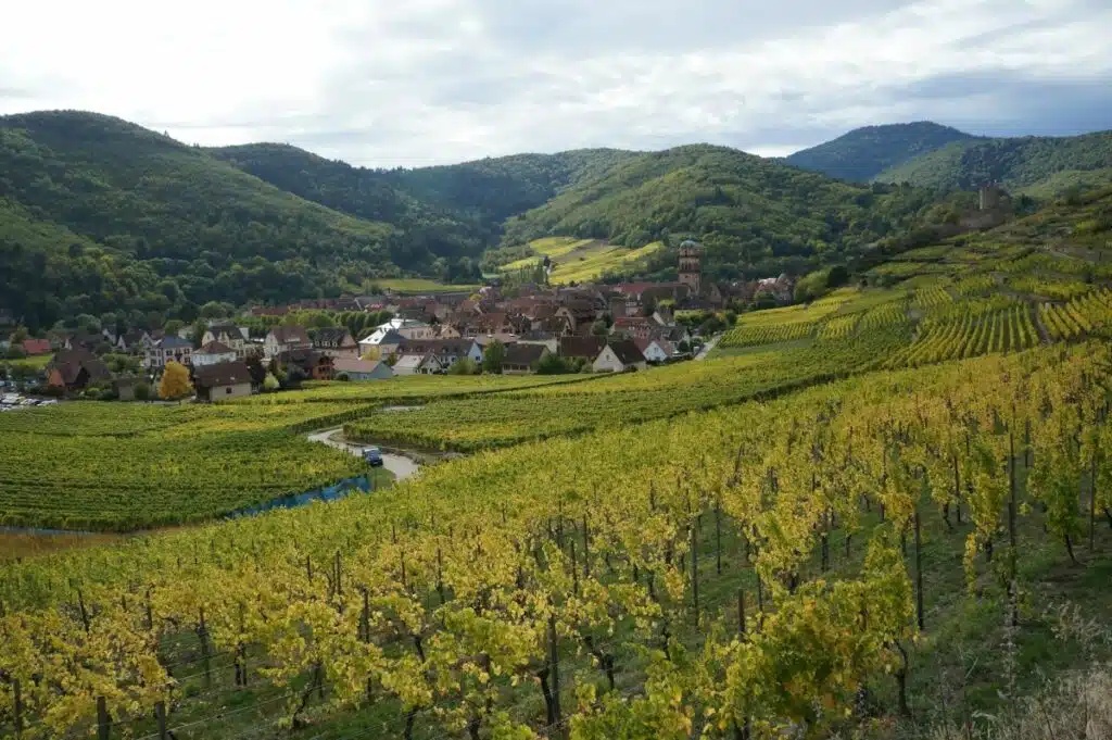 Alsace - Kaysersberg