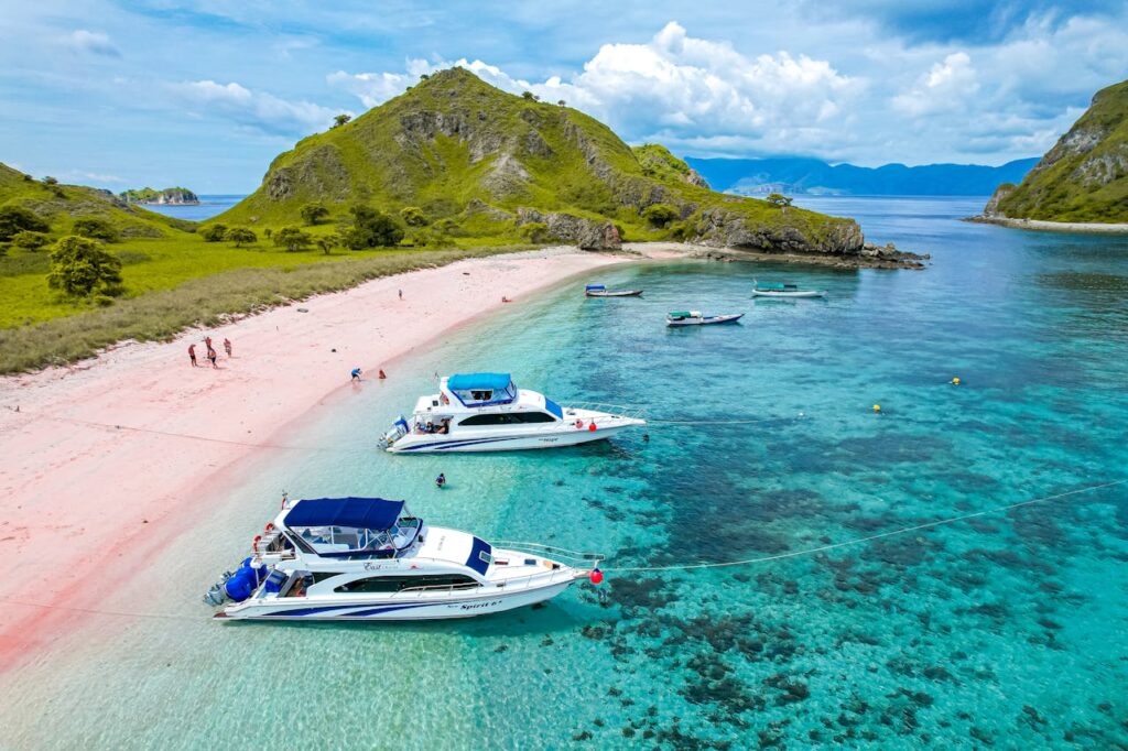 Pink beach in Komodo island