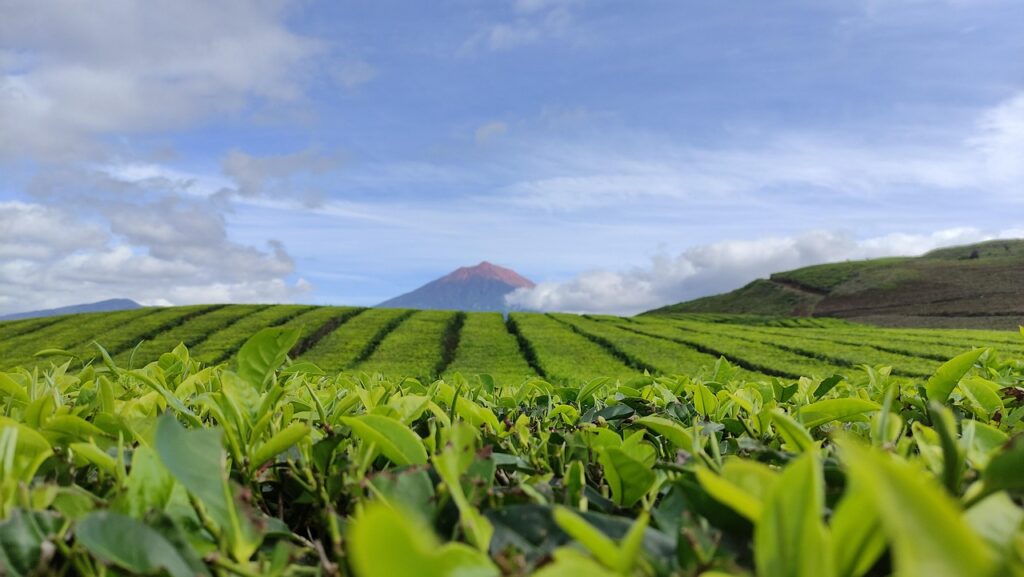 Mount Kerinci