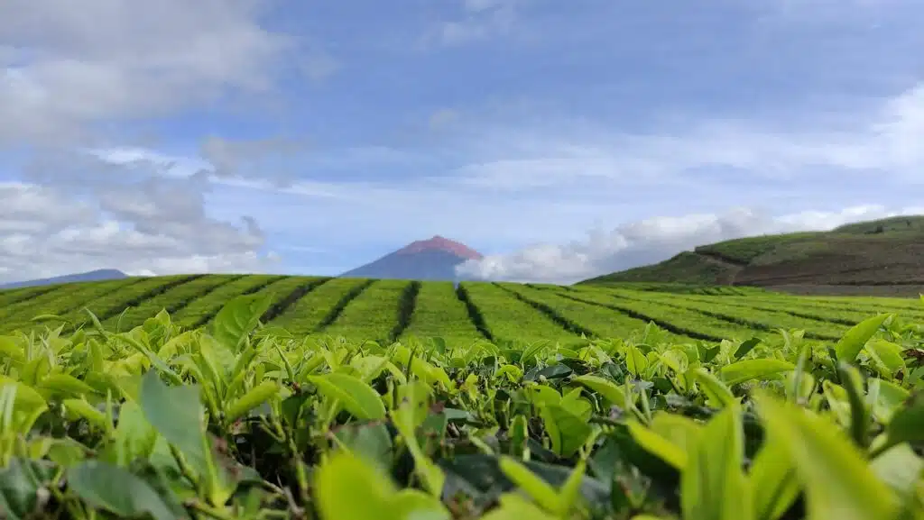 Mount Kerinci