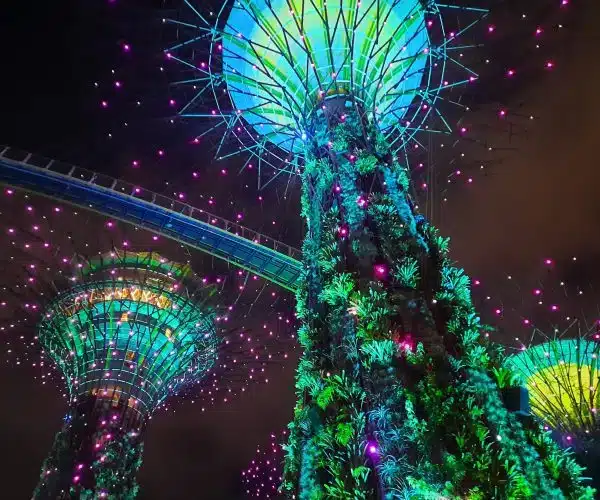 Garden By the Bay